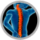 Spine Disorders